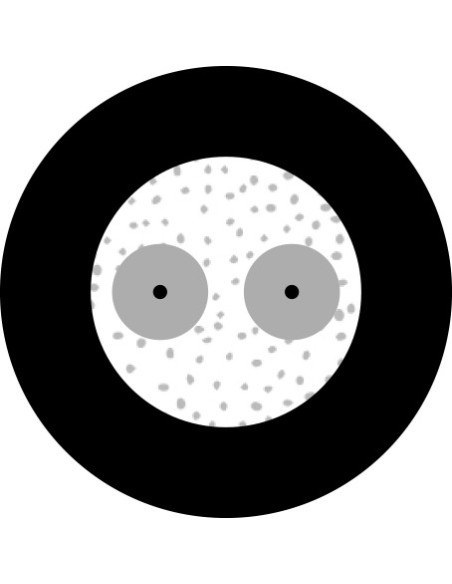 CFO 2 900N / Cable 2 F.O. SM exterior Ftth ICT2