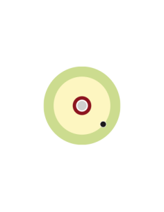 CFO 1-900 CABLE 1 FO SM G657-A2 LSZH Dca Blanco Bob.500Mtrs 